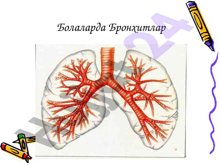 Bola bронхитлари: сабаблари ва таснифлари