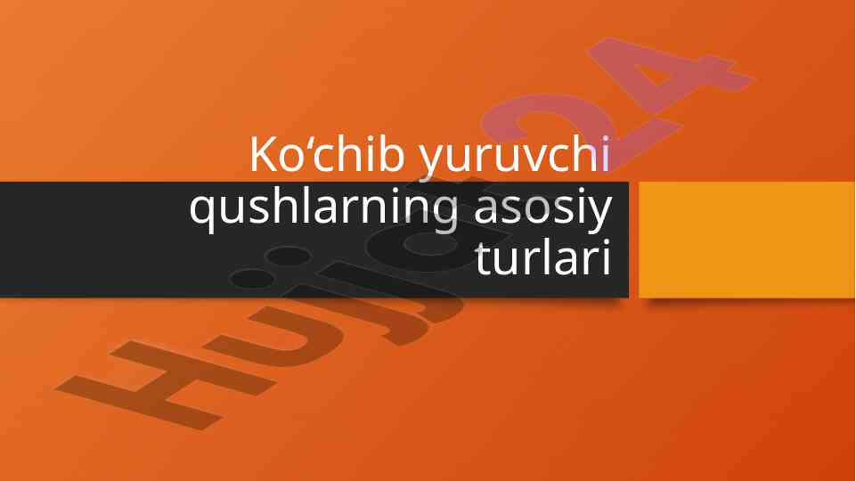 Ko‘chib Yuruvchi Qushlarning Asosiy Turlari