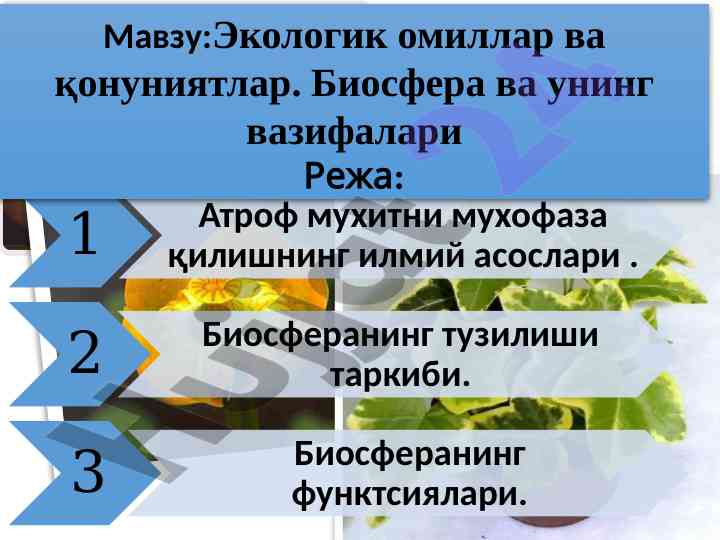 Экологик омиллар ва қонуниятлар мавзуида илмий тадқиқот