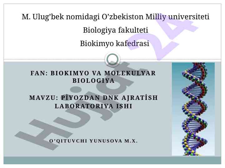 Piyozdan dnk ajratish laboratoriya ishi
