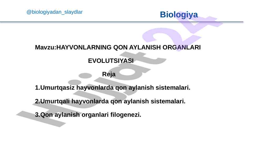 Hayvonlarning qon aylanish organlari evolutsiyasi