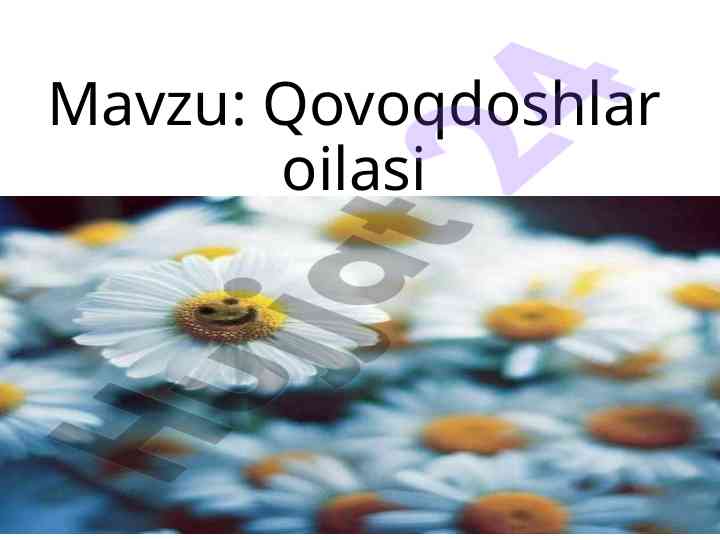 Qovoqdoshlar oilasi va uzum navlari