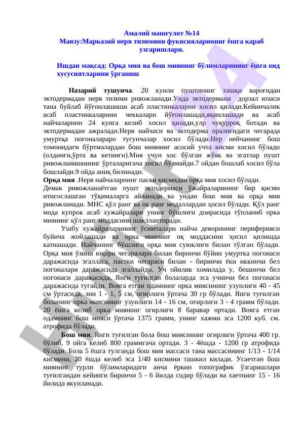 Markaziy nerv tizimining yoshga qarab o’zgarishlari