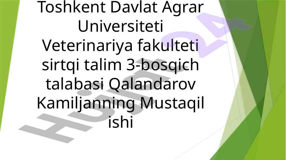 Aygirlarni axtalash va uning amaliy ahmiyati