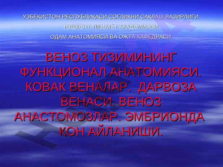 Venoz tizimining funktsional anatomiyasi