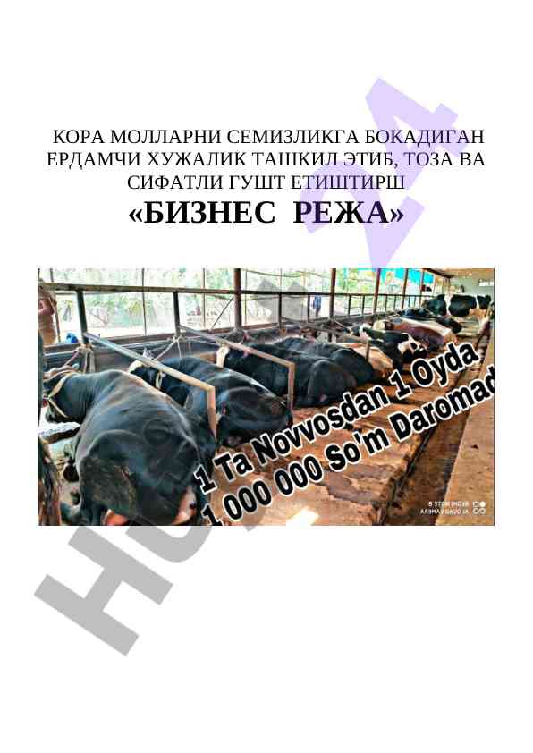Кора молларни семизликка бокадиган ердамчи хужалик