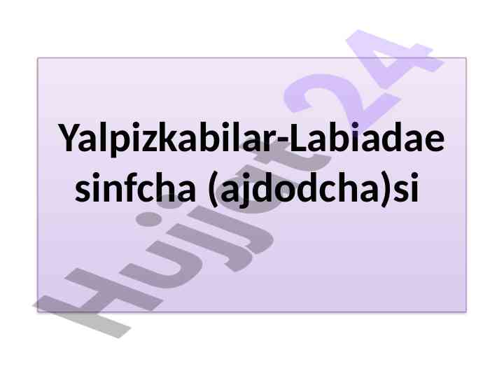 Yalpizkabilar-labiadae sinfcha ajdodcha tahlili