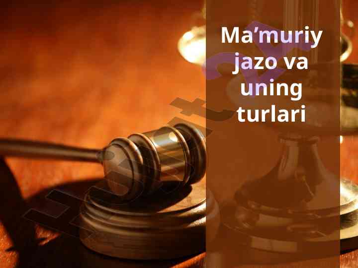 Ma’muriy jazo turlari va ularning qo‘llanilishi