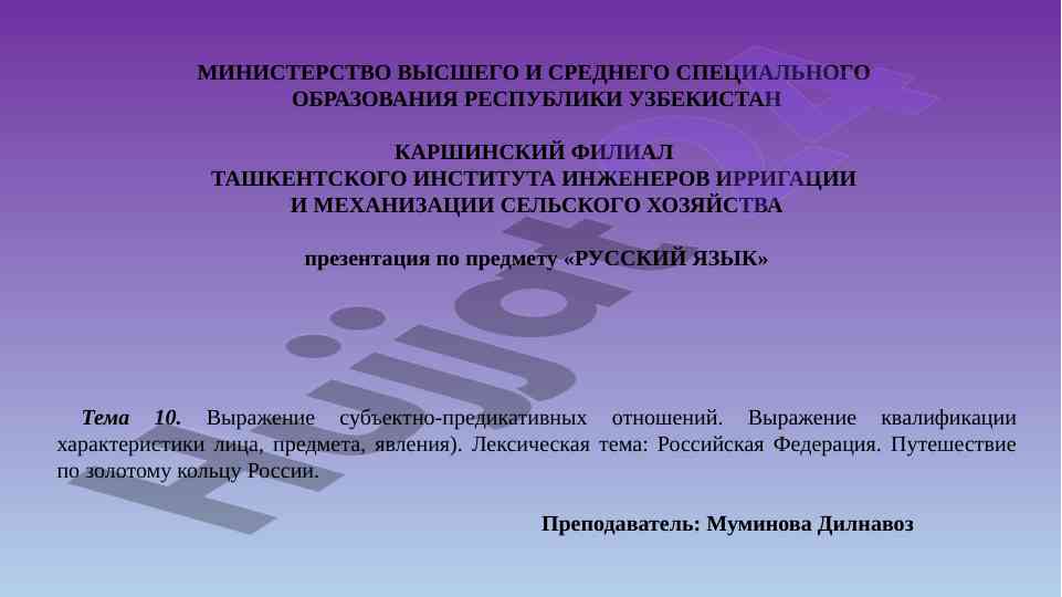 Презентация по русскому языку для учебного процесса
