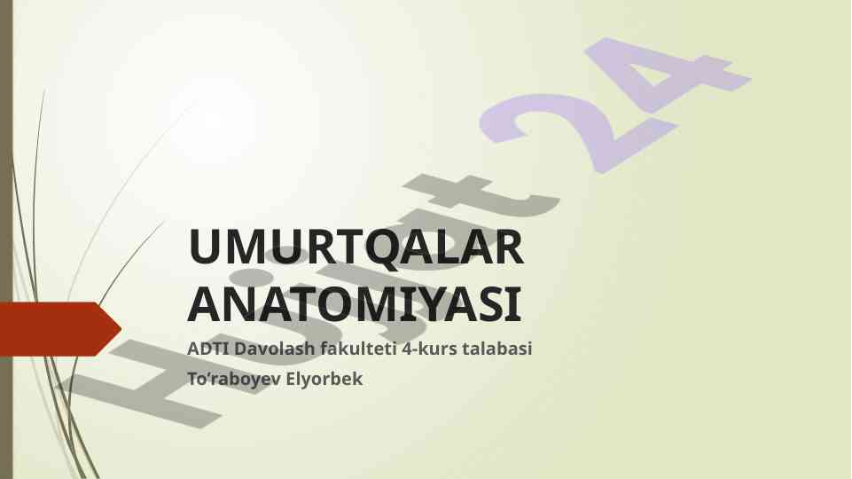 Umurtqalar anatomiyasi va klassifikatsiyasi