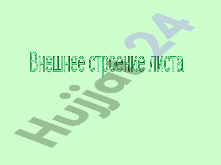 Tipy listovykh platonikov i vidy zhilkovaniya