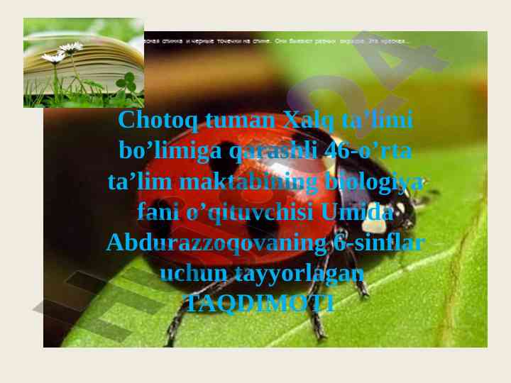 Yovvoyi o'simliklarning vegetativ ko'payishi