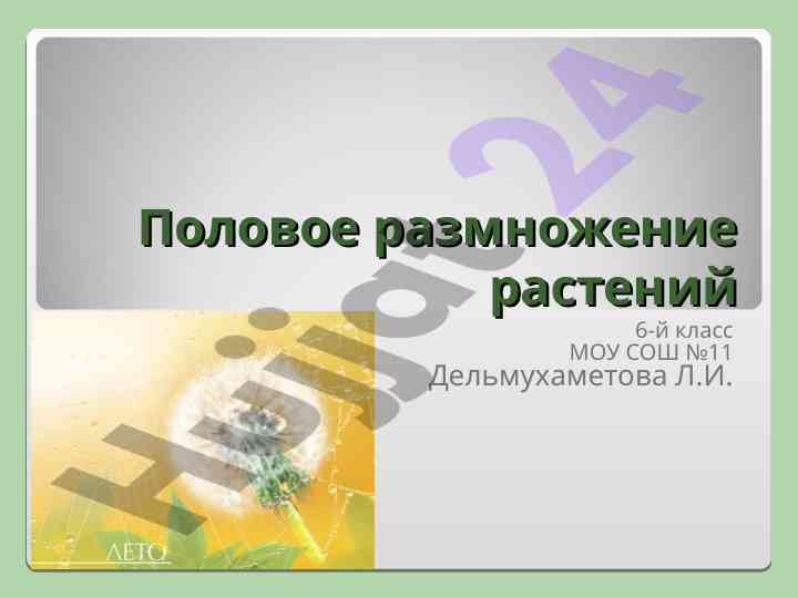 Polovoe razmnozhenie rasteniy 6-y klass