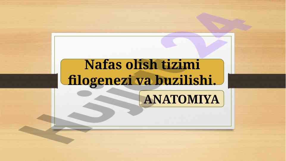 Nafas olish tizimi filogenezi va buzilishi