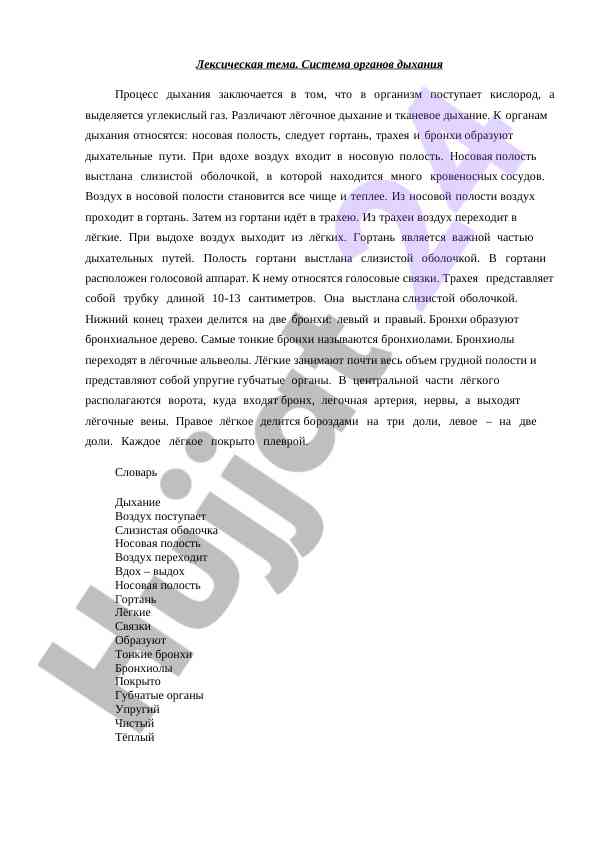 Система органдары дыхания и процесс дыхания