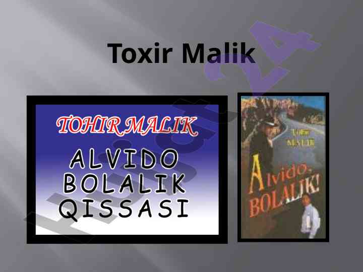 Tohir malik: o'zbek adabiyotida ijodkorlik