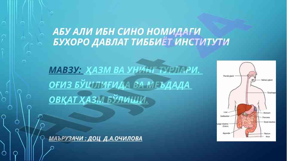 Hazm va uning turlari bo'yicha ta'lim materiallari