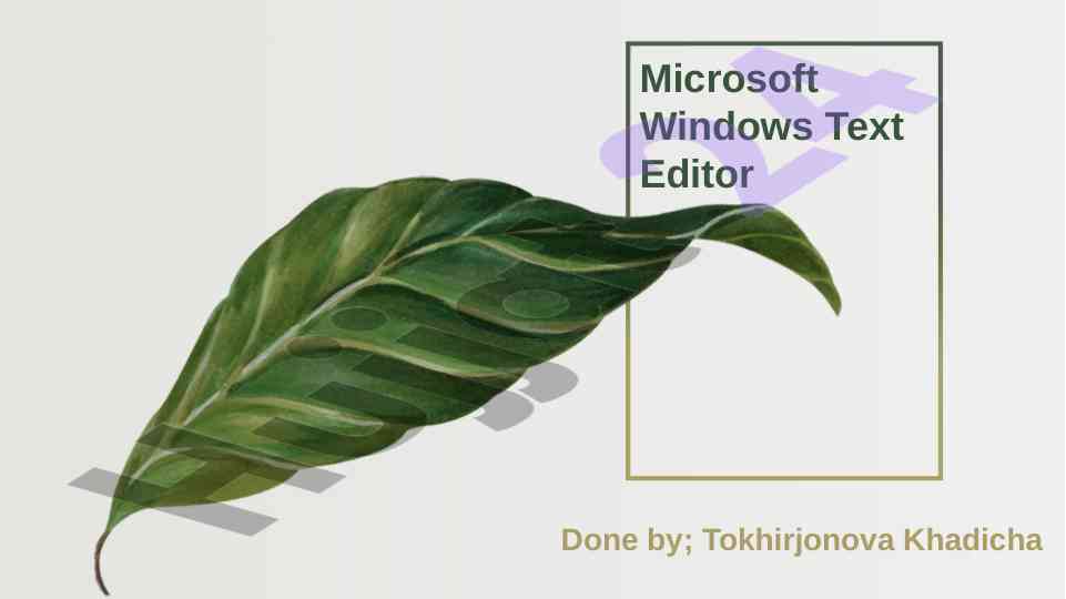 Microsoft windows matn tahrirchisi qo‘llanmasi