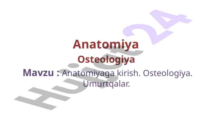 Anatomiyaga kirish va osteologiya asoslari