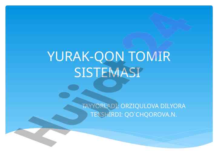 Yurak-qon tomir sistemasi haqida ma'lumotlar