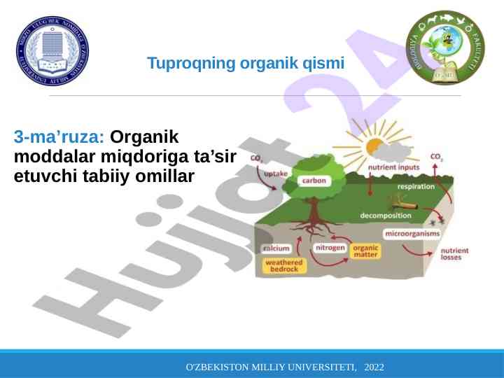 Tuproqning organik qismi va tabiiy omillar