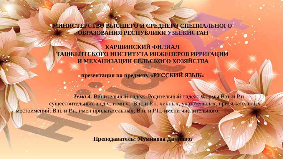 Презентация по русскому языку на тему винительный падеж