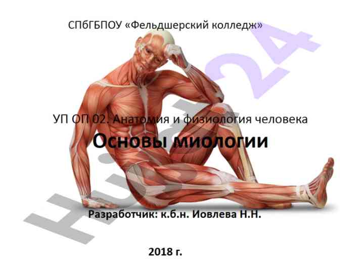 Osnovy miologii i anatomii chelyoveka