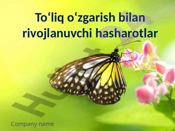 To‘liq o‘zgarish bilan rivojlanuvchi hasharotlar