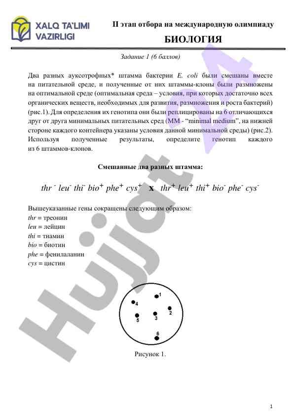 Genotyp ta'rifi va auksotrof bakteriyalar
