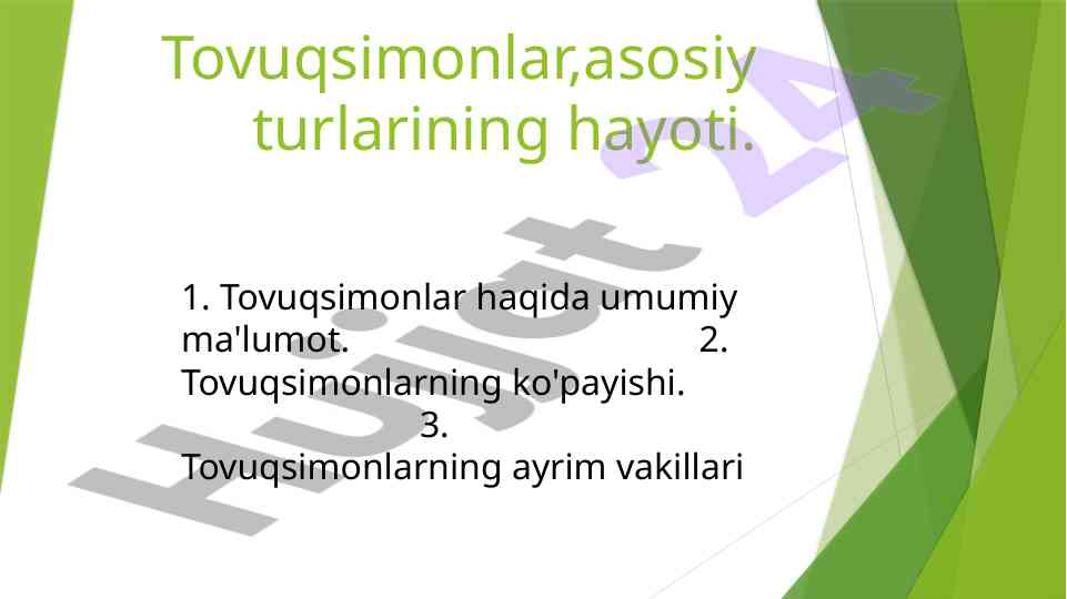 Tovuqsimonlar turlari va ularning hayoti