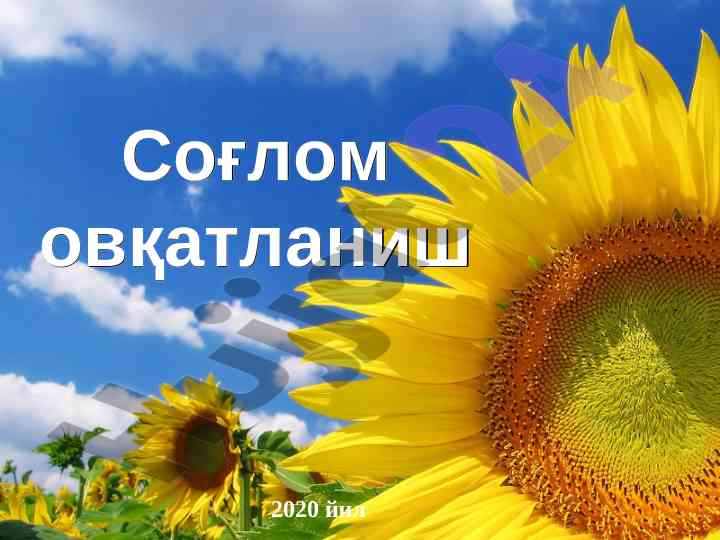Соғлом овқатланиш низомлари ва аҳамияти