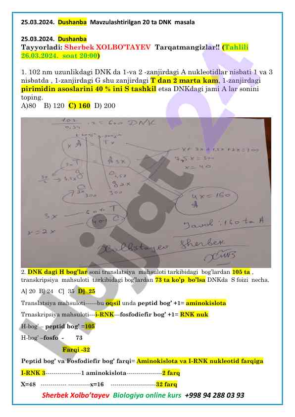 Dnk masalalari bo'yicha sinov testlari