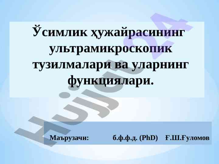 Ультрамикроскопик ўсимлик ҳужайралари тузилиши