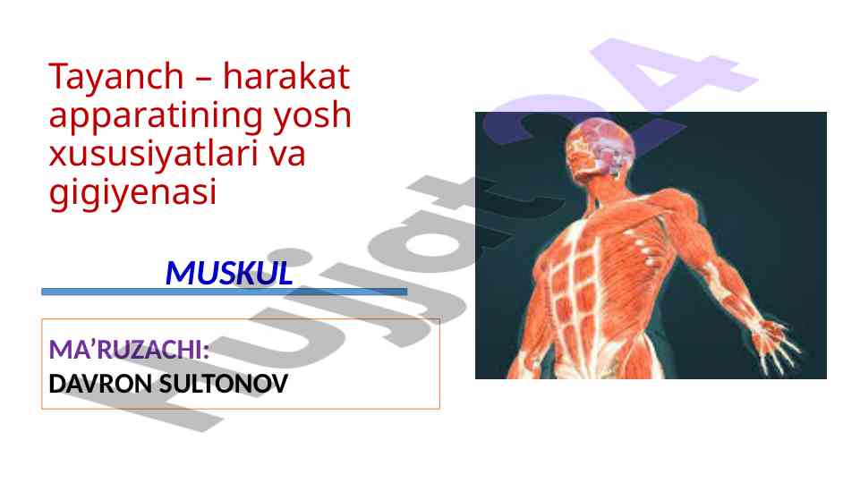 Tayanch harakat apparati yosh xususiyatlari