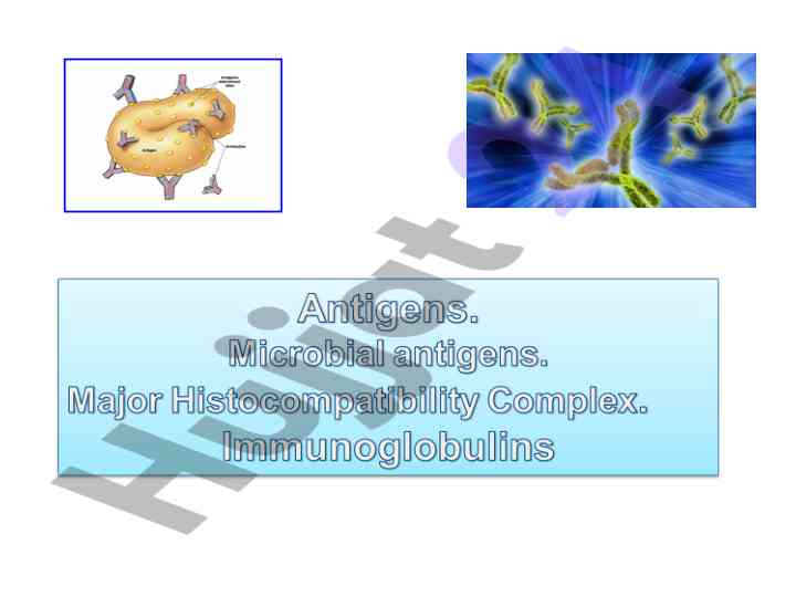 Properties and features of antigens in immunology