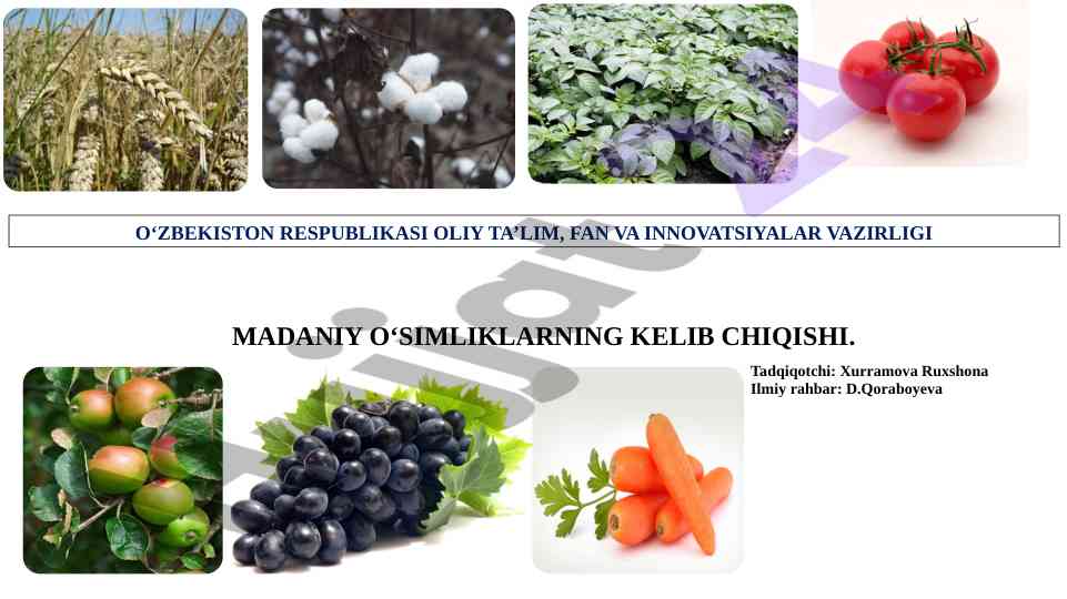 Madaniy oʻsimliklarning kelib chiqishi tadqiqoti