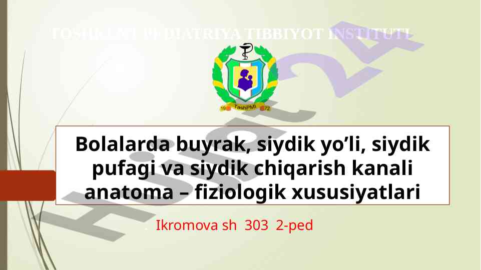 Bolalarda buyrak anatomiyasi va fiziologiyasi