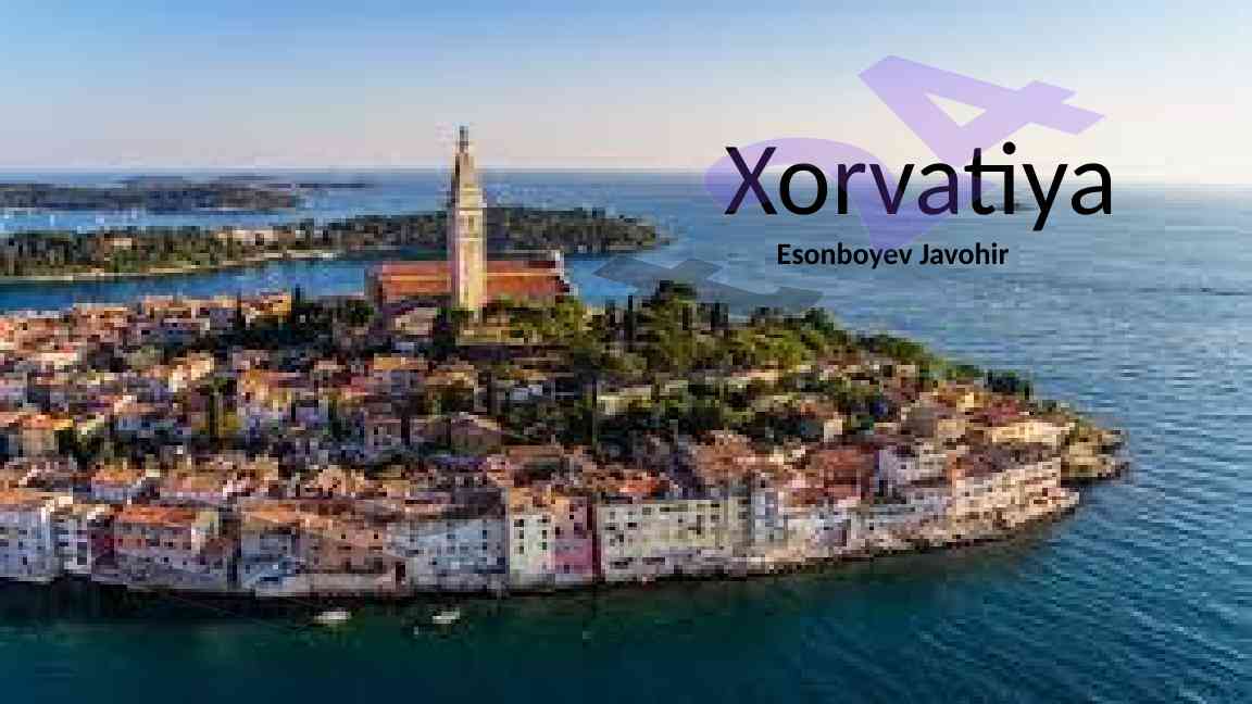Xorvatiya Valyuta Siyosati Tahlili