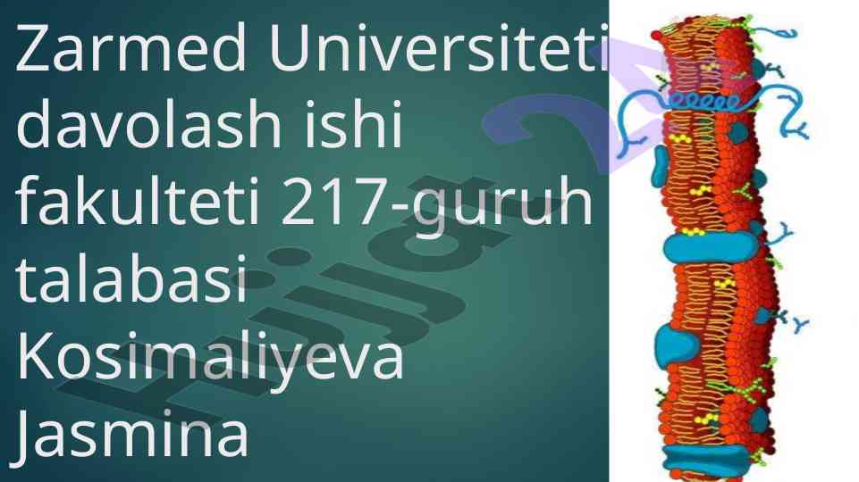 Signallarni membranalar orqali o‘tkazilishi