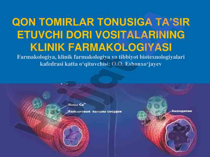 Arterial qon bosimi va antigipertenziv dori vositalari