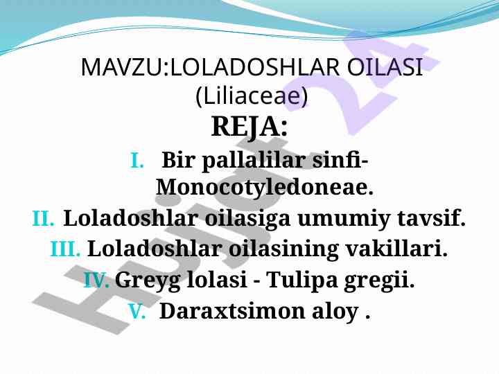 Loladoshlar oilasi umumiy tavsifi va vakillari