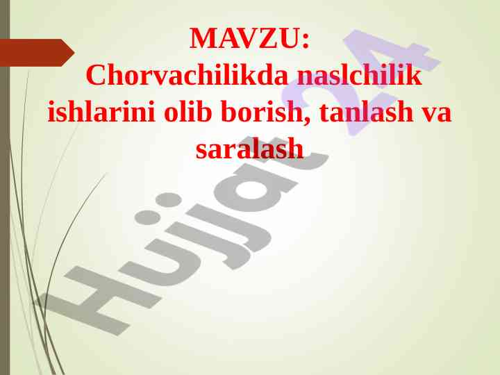 Chorvachilikda naslchilik ishlari olib borish jarayoni