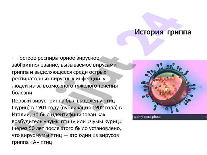 История гриппа и его влияние на здоровье человека