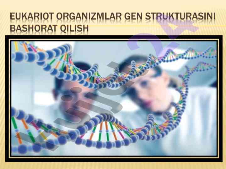 Eukariot organizmlar geni va genom ma’lumotlari