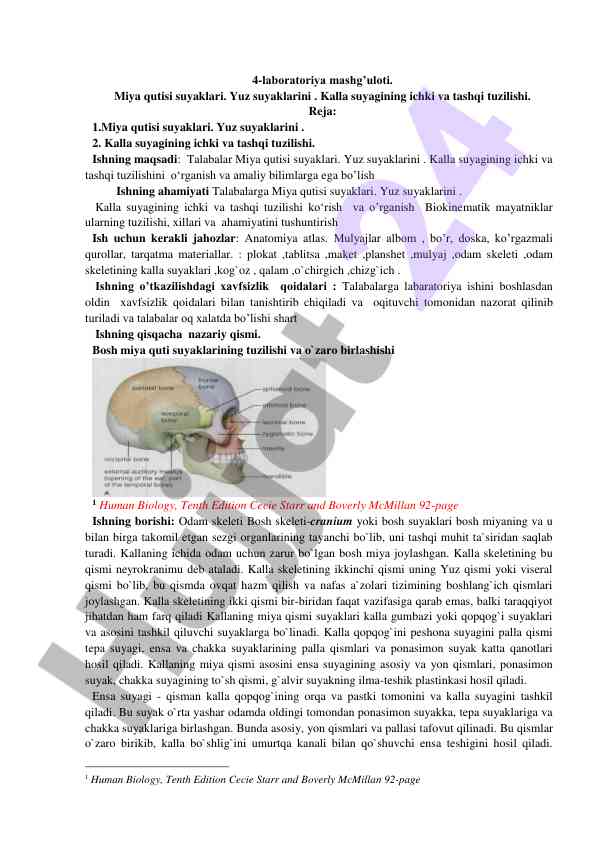 Miya qutisi suyaklari va kalla suyagining tuzilishi