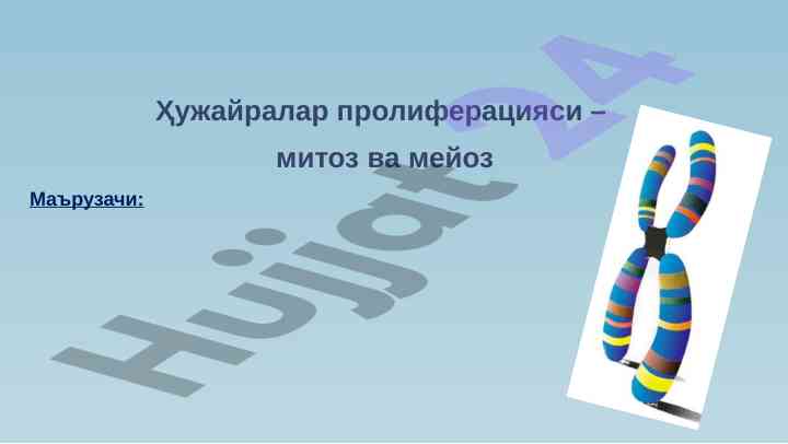 Hujayralar proliferatsiyasi – mitoz va meyoz