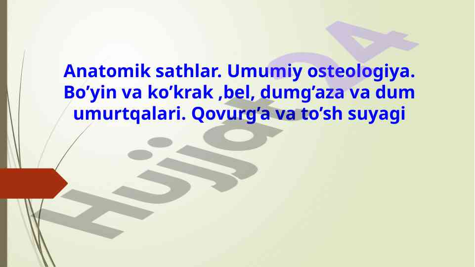 Anatomik sathlar. Umumiy osteologiya. Bo’yin va ko’krak ,bel, dumg’aza va dum umurtqalari. Qovurg’a va to’sh suyagi
