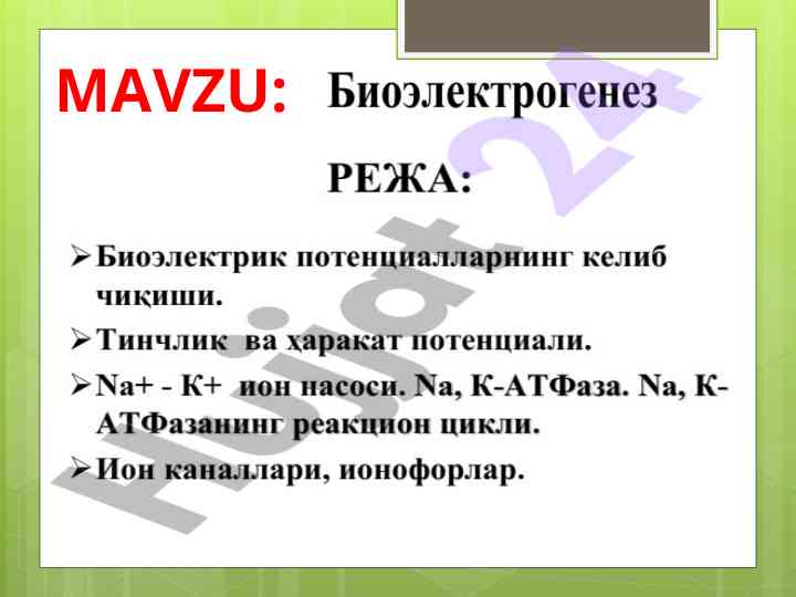 Mavzu bo'yicha o'quv materiallari