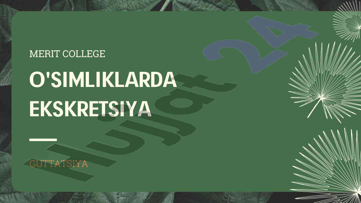 O'simliklarda guttatsiya va transpiratsiya jarayonlari