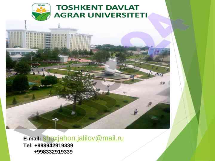 Ommaviy tadbirlar bo'yicha asosiy tushunchalar